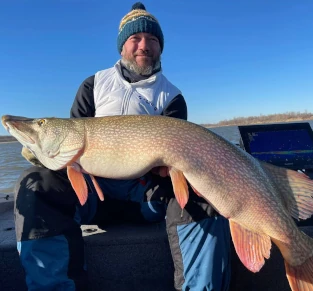 База Ковчег. Максим Патрахин, 14040, октябрь 2025